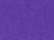 Campus Purple - Swatch
