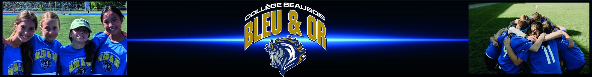 Bleu et or Collège Beaubois